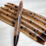 Louie’s Lures – Chocolate Chip Core Shot Stick Baits (Floating Soft Plastic Worms)